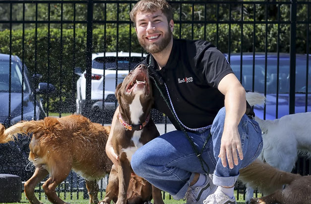 Staff playing with dogs