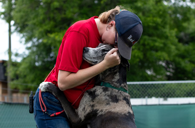 Staff hugging a happy dog