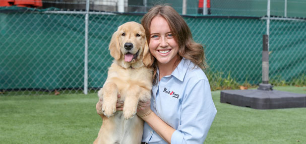 Staff holding a happy puppy